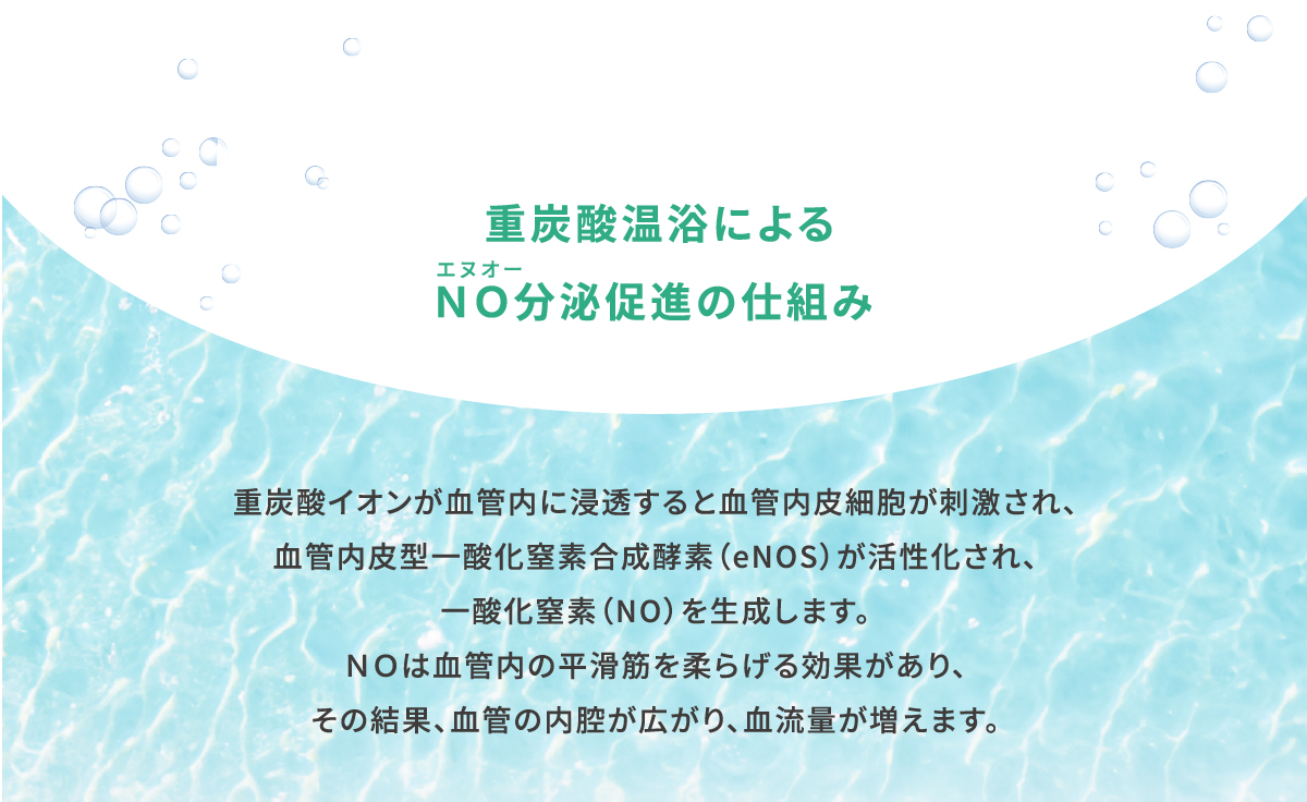 重炭酸温浴によるNO分泌促進の仕組み