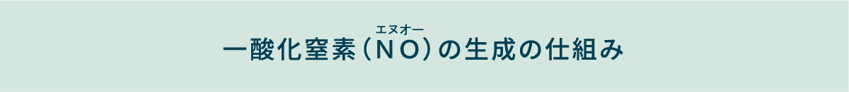 一酸化窒素(NO)生成の仕組み